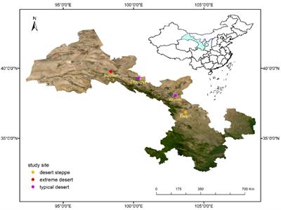 Discrepancy in coordination and variation of root and leaf traits among herbaceous and shrub species in the desert, China